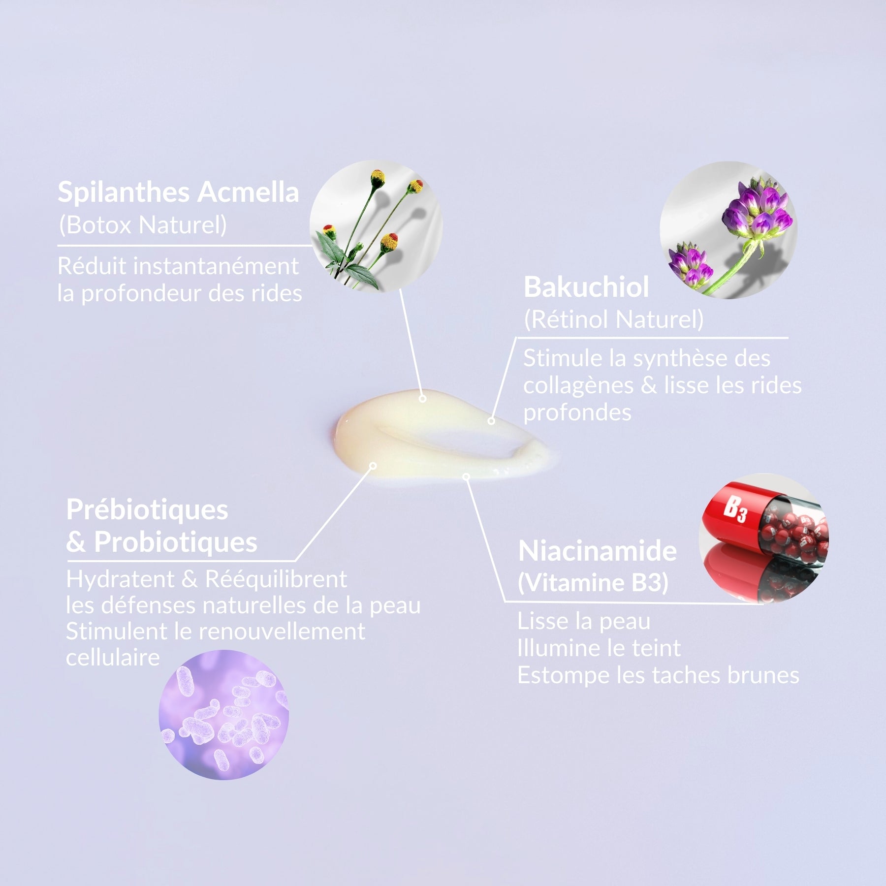 serum bakuchiol niacinamide spilanthol spilanthes acmella
