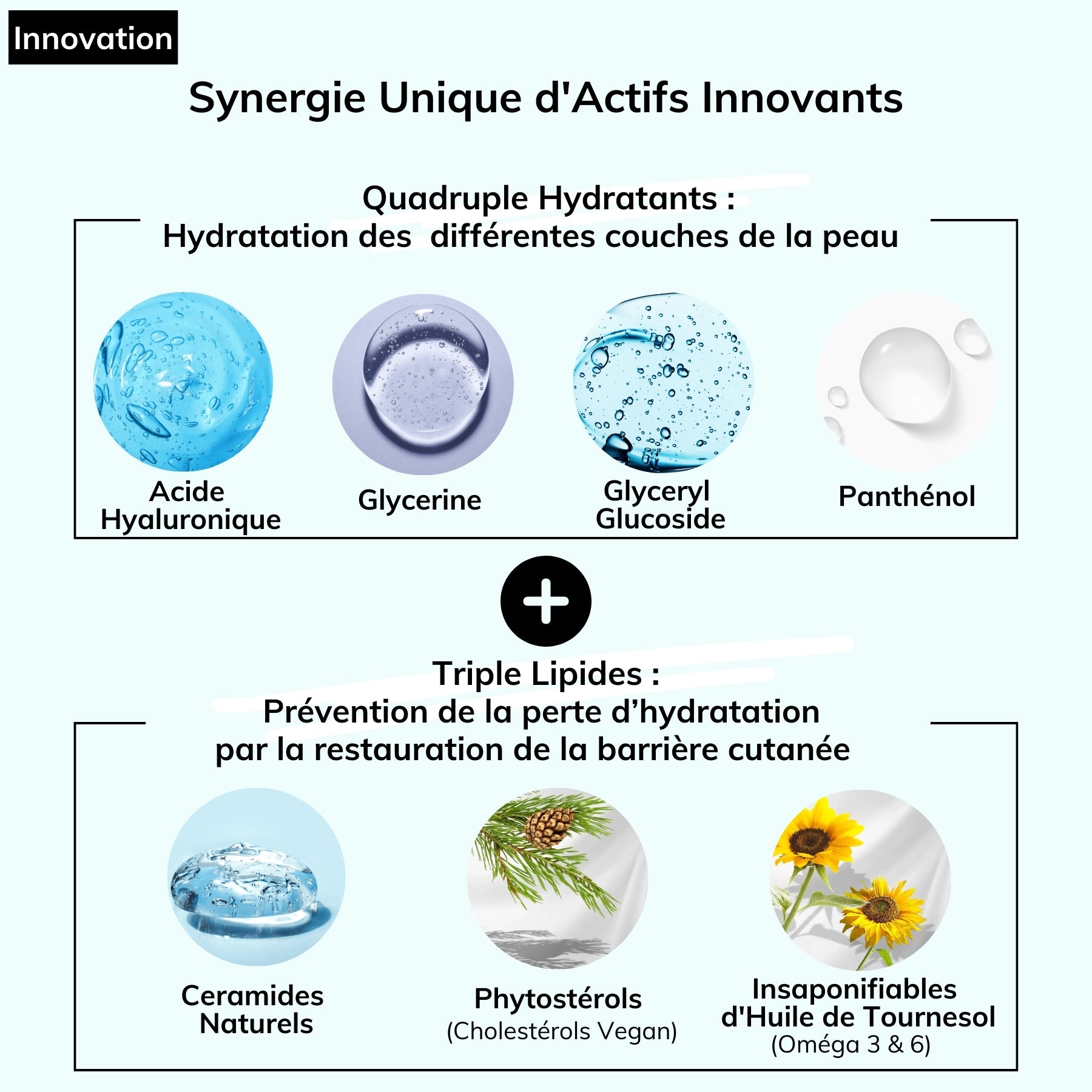 Crème H enriche en actifs puissants en synergie